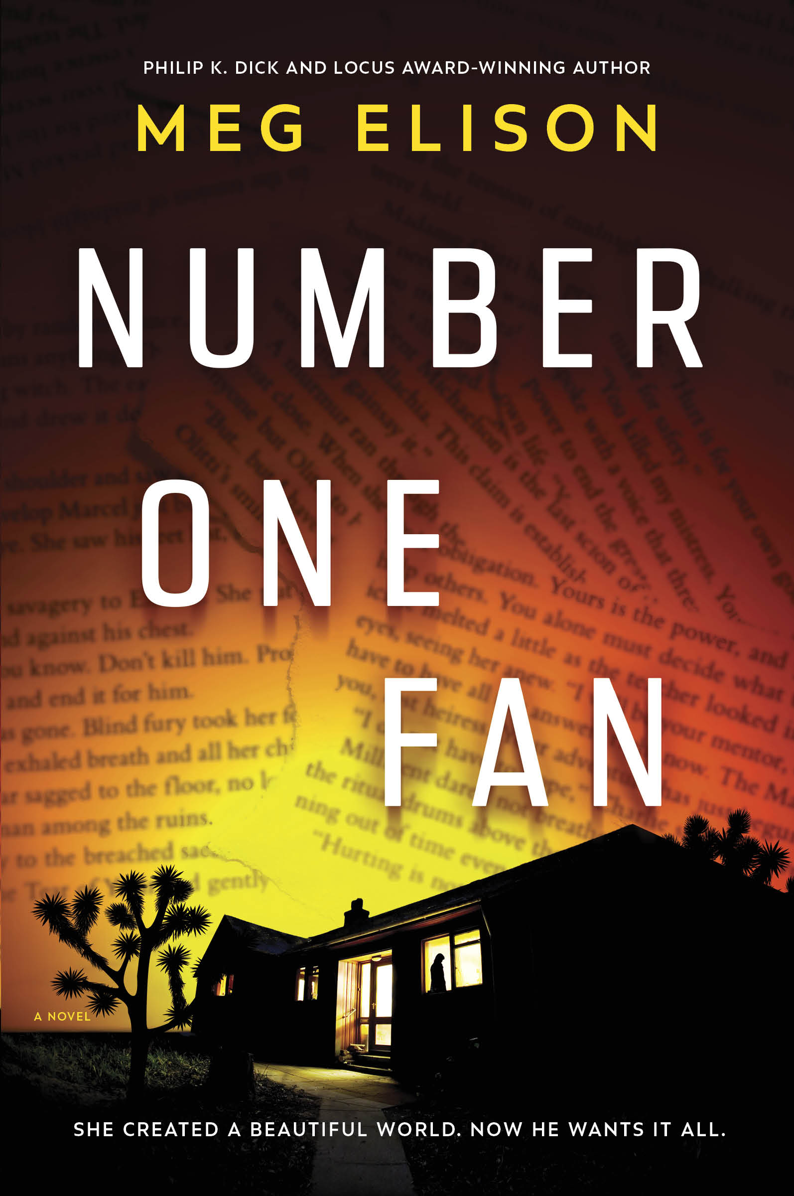Number One Fan book cover