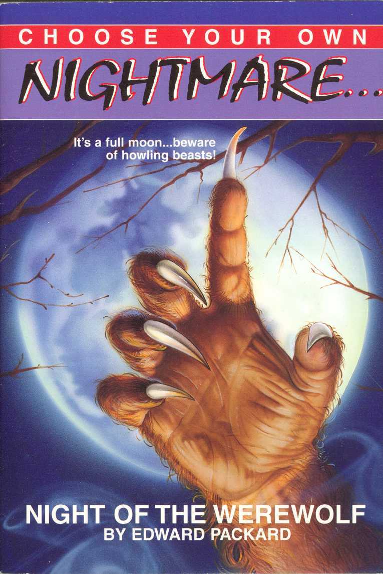 Night of the Werewolf book cover