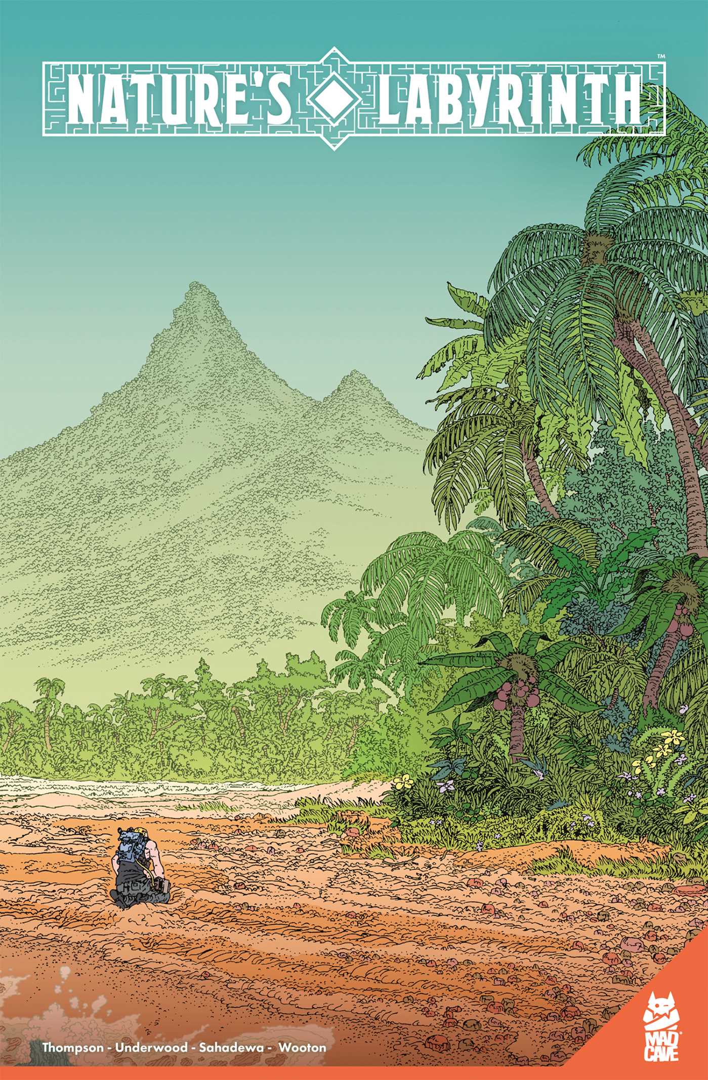 Nature's Labyrinth Vol. 1 book cover