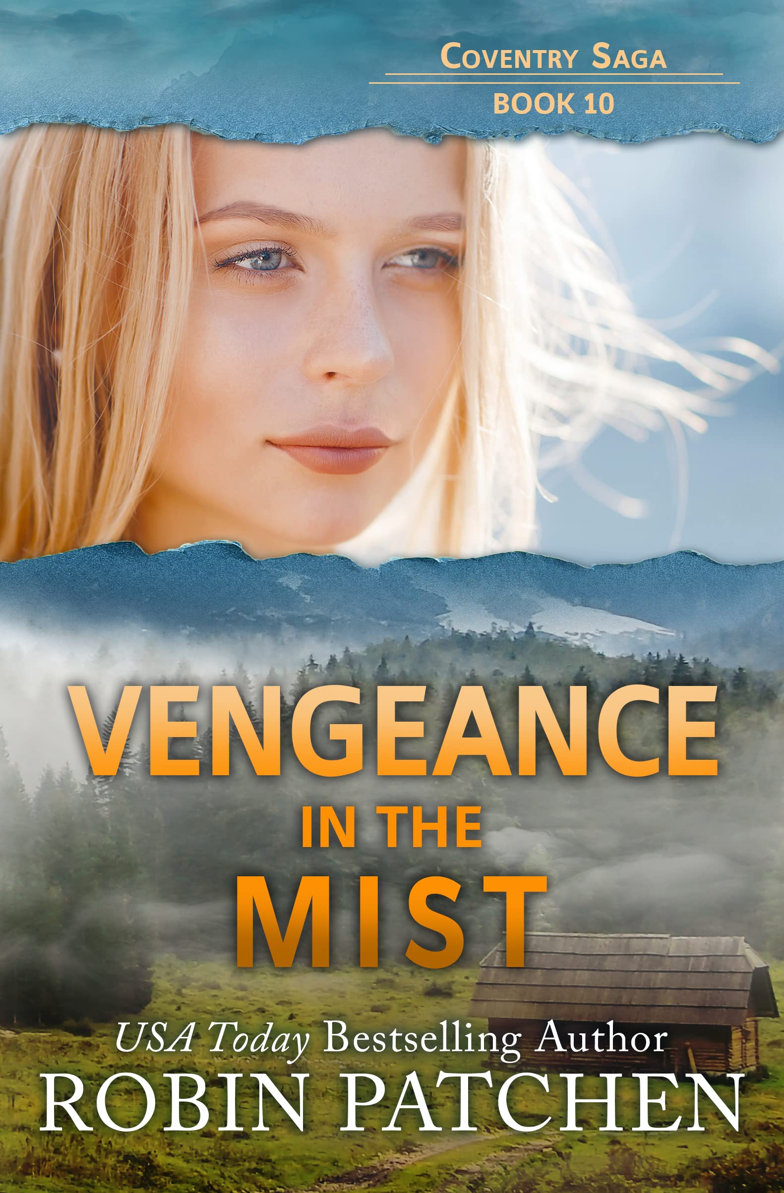 Vengeance in the Mist book cover