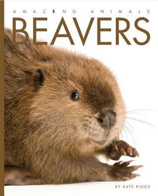 Beavers book cover