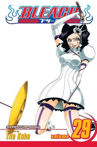 Bleach, Volume 29 book cover