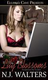 Summersville Secrets book cover 3