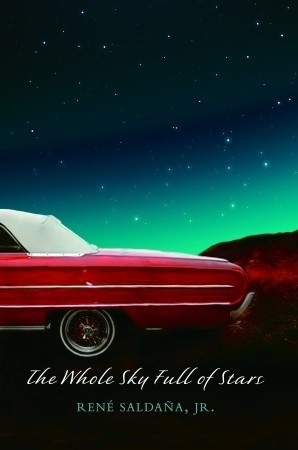 The Whole Sky Full of Stars book cover