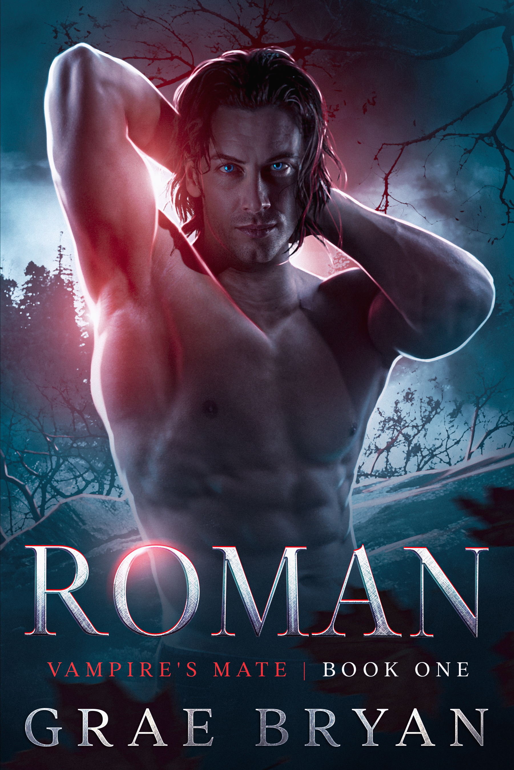 Vampire's Mate book cover 1