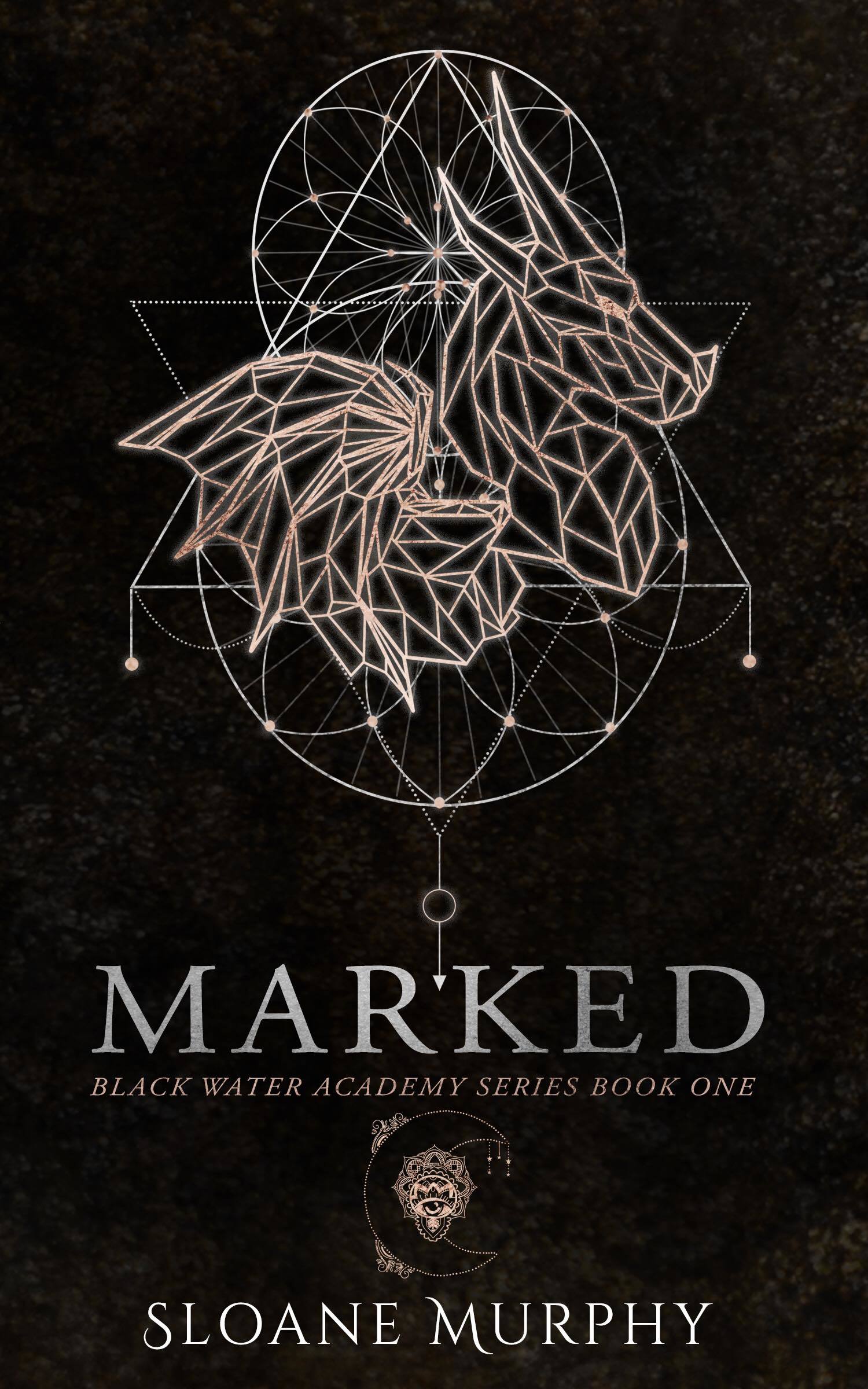Black Water Academy book cover 1