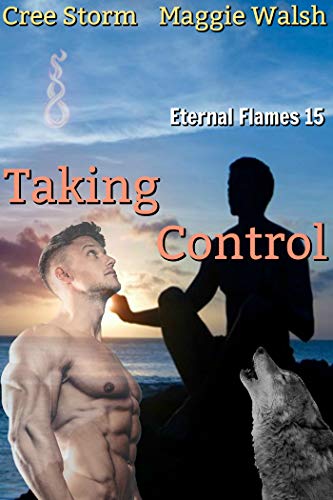 Taking Control book cover