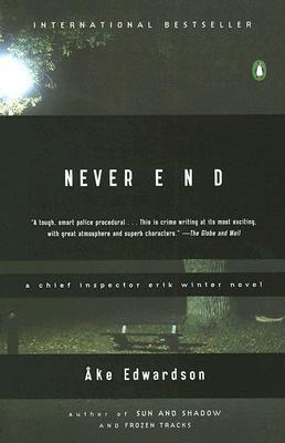 Never End book cover