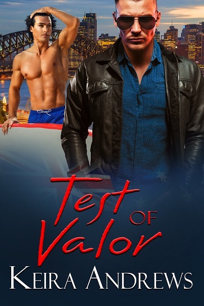 Valor book cover 2