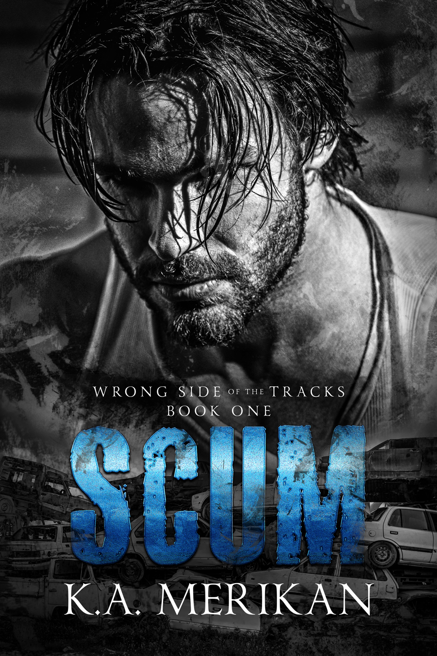 Wrong Side of the Tracks book cover 1