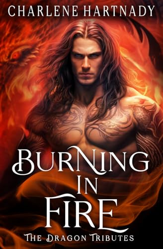 Burning in Fire book cover