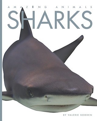Sharks book cover