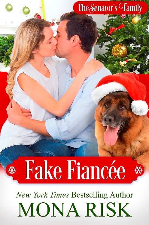 The Senator's Family book cover 2