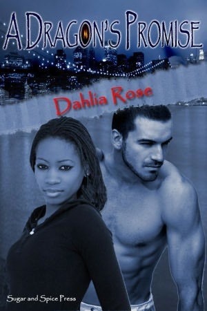 The Paladin Dragons book cover 1