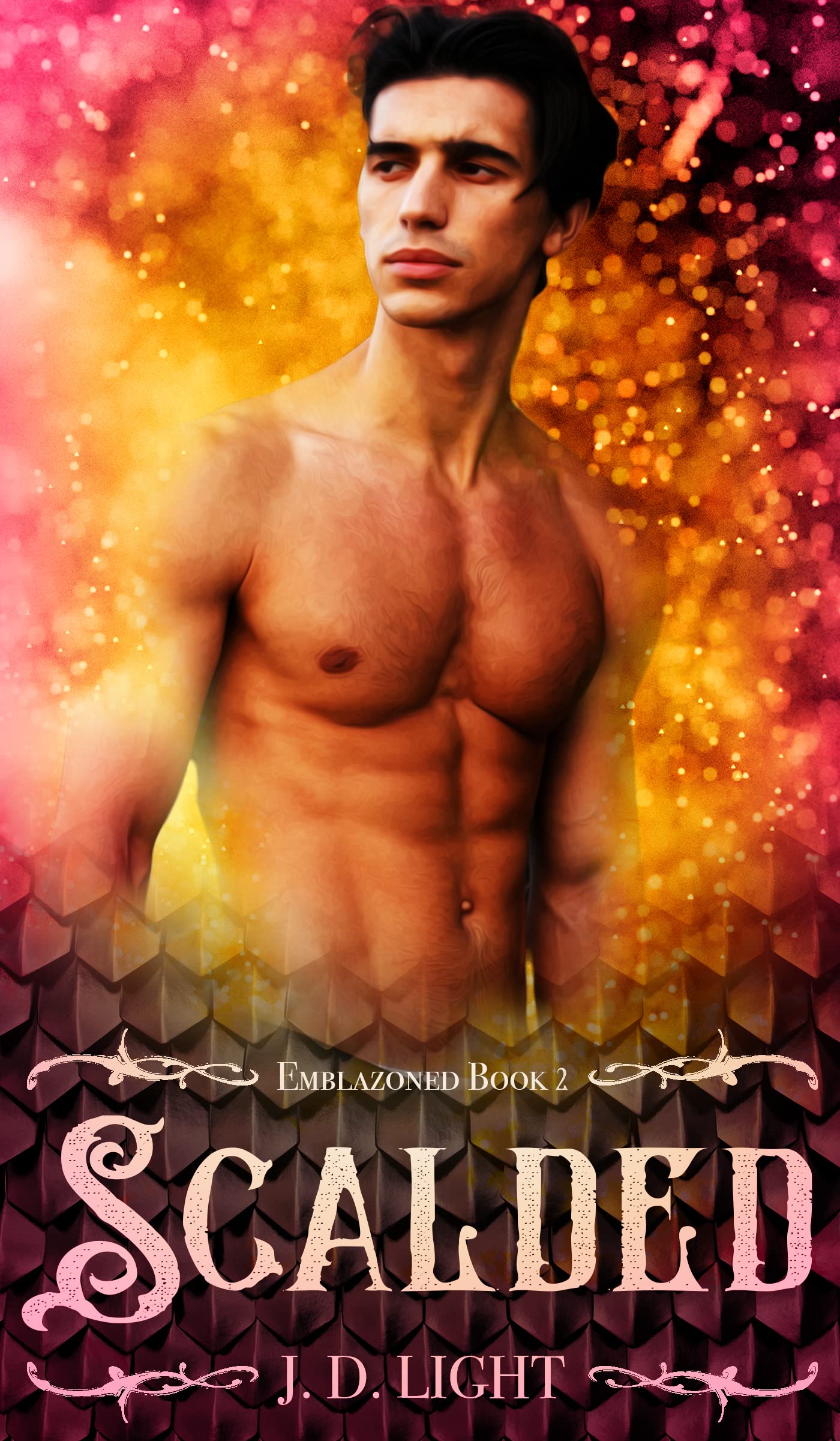 Emblazoned book cover 1