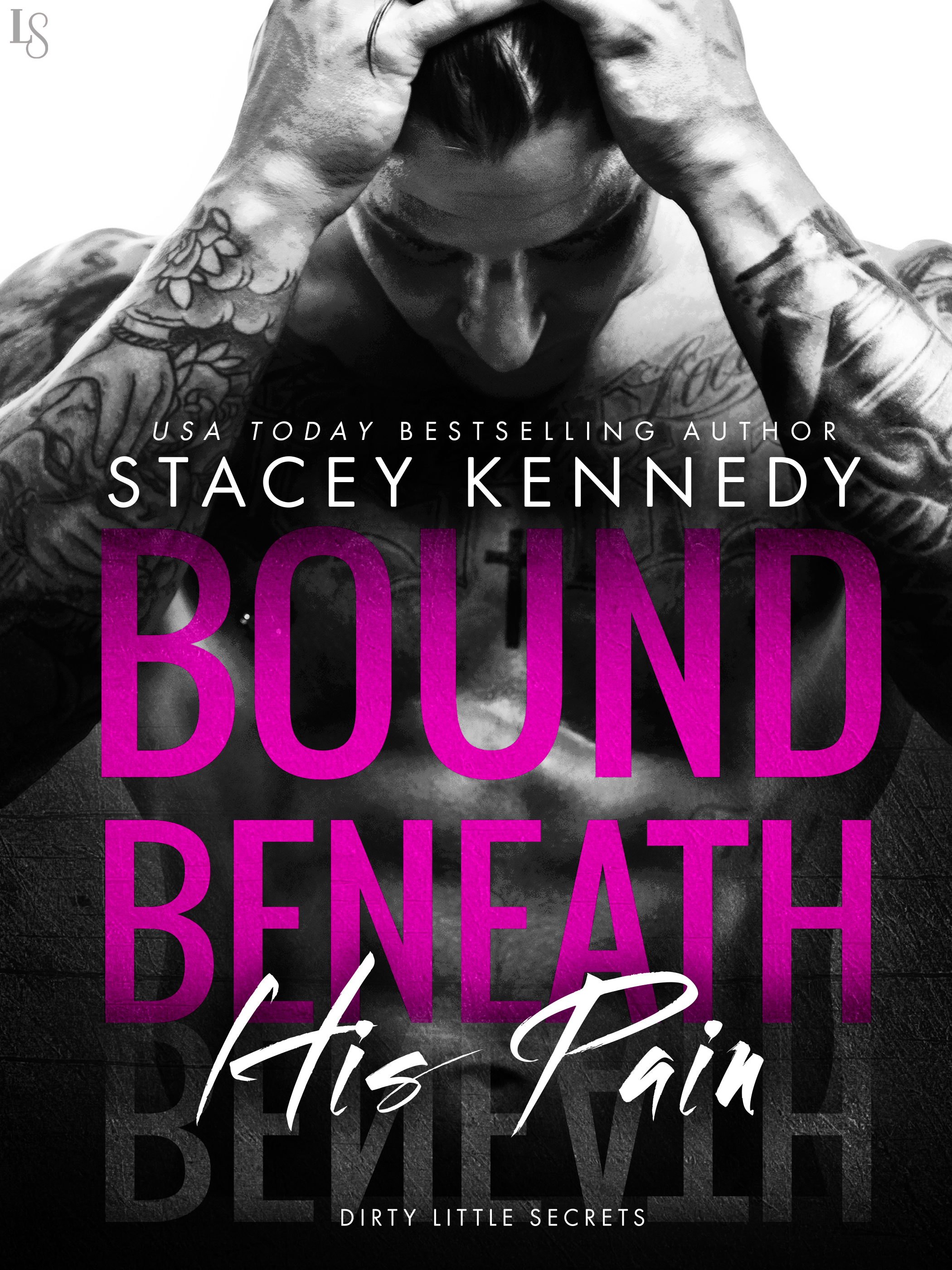 Dirty Little Secrets book cover 1
