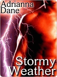 Stormy Weather book cover