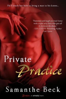Private Pleasures book cover 1