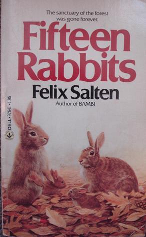 Fifteen Rabbits book cover