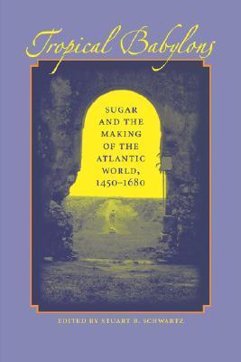Tropical Babylons book cover