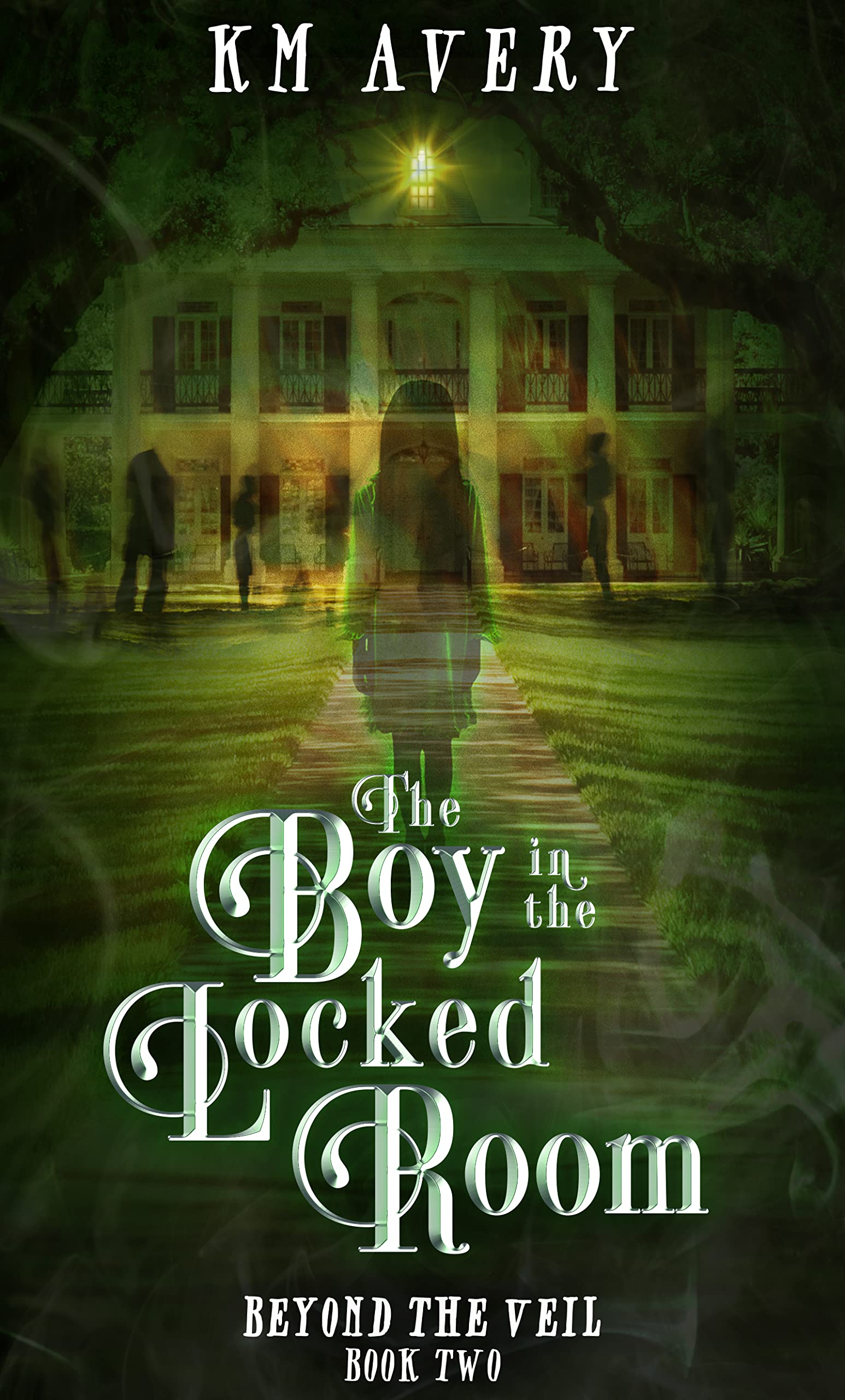 Beyond the Veil book cover 2
