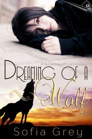 Dreaming of a Wolf book cover
