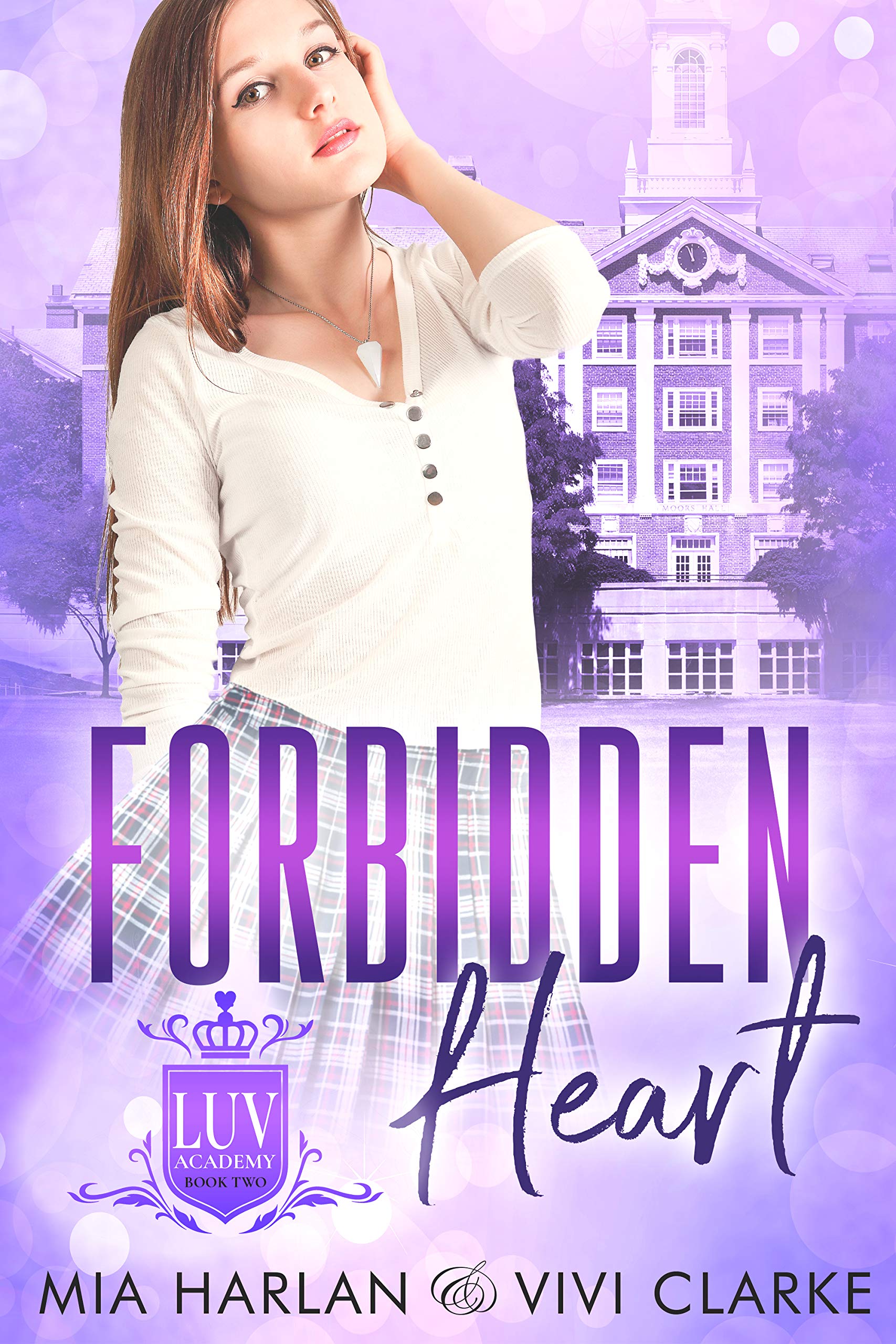 LUV Academy book cover 2