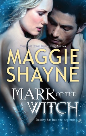 Mark of the Witch book cover