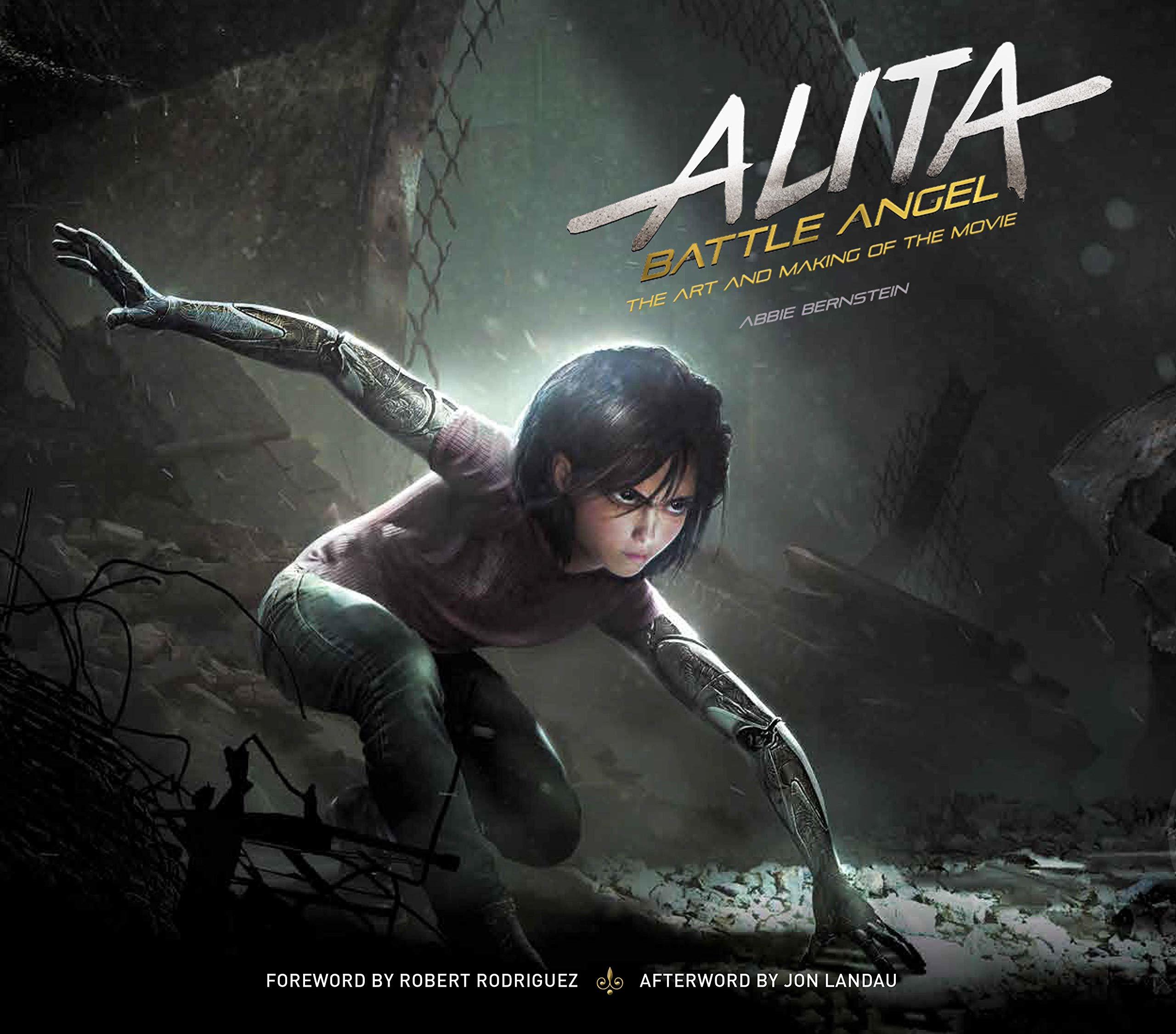 Alita book cover
