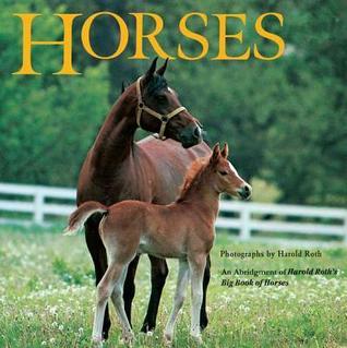 Horses book cover