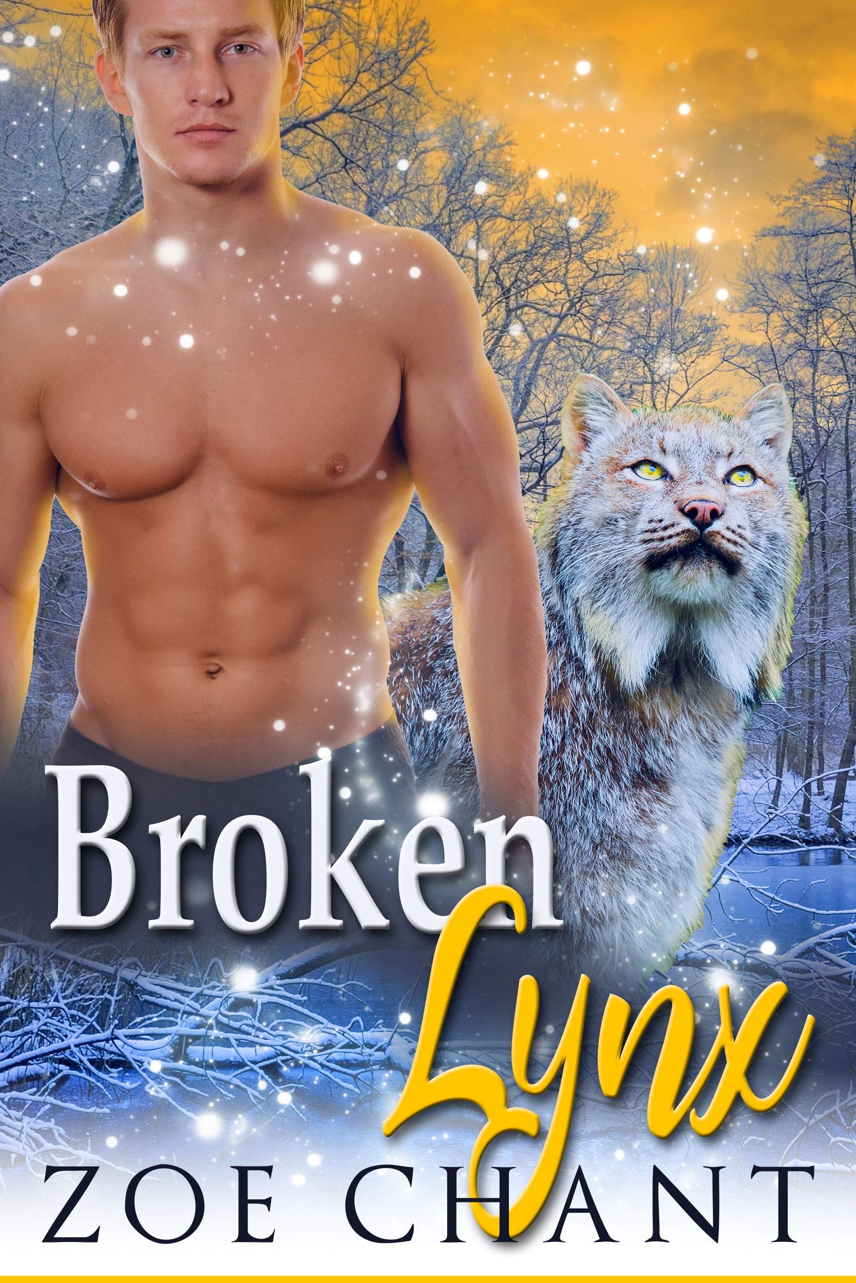 Broken Lynx book cover