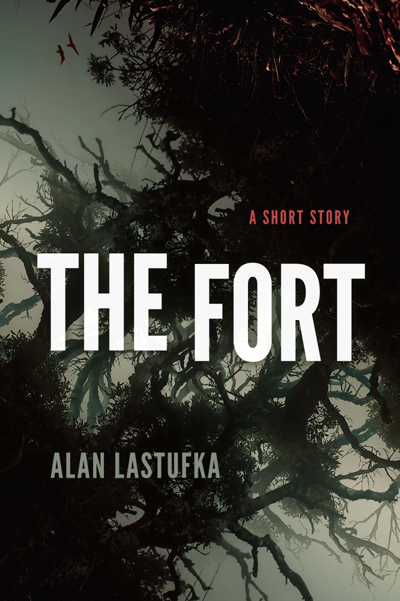 The Fort book cover