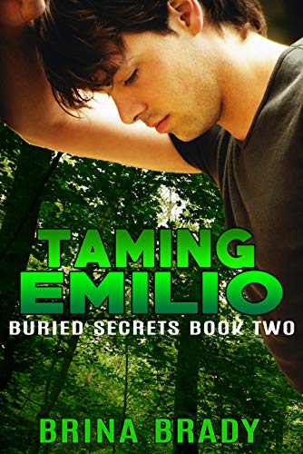 Buried Secrets book cover 2