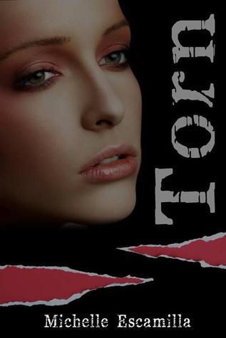 Beautiful Climax book cover 1
