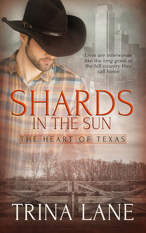 The Heart of Texas book cover 1