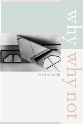 Why/Why Not book cover