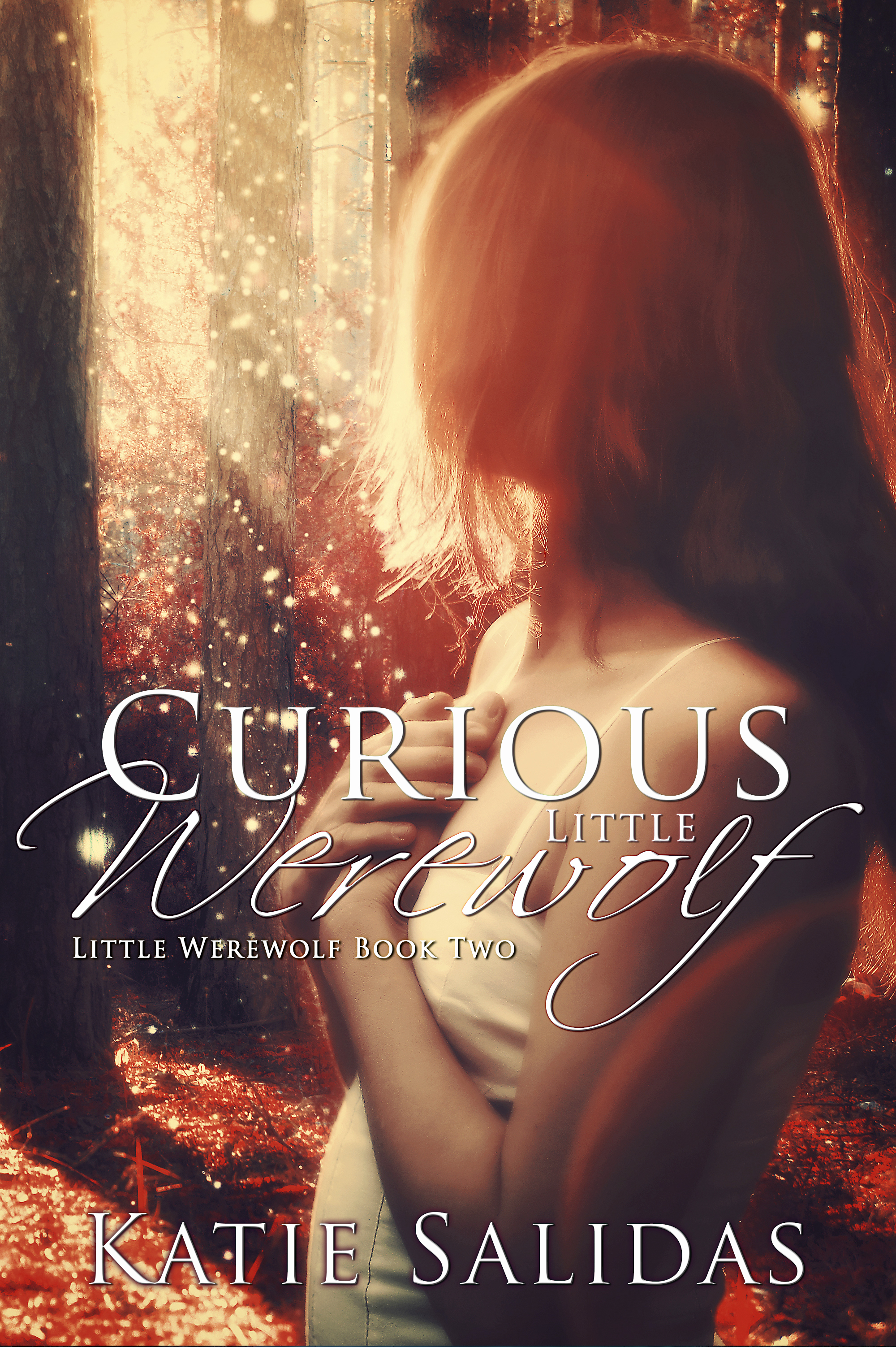 Little Werewolf book cover 2