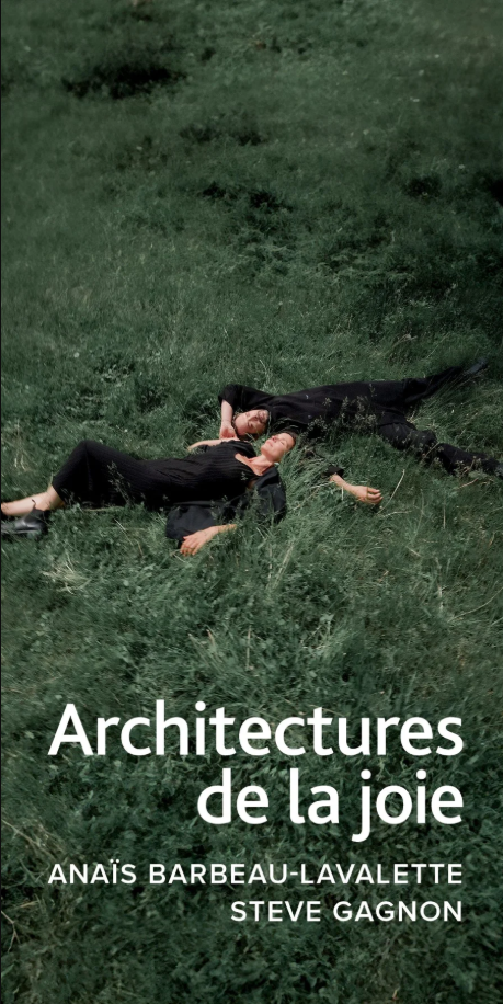 Architectures de la joie book cover