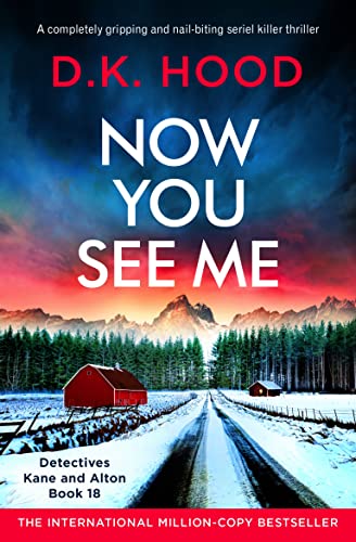 Now You See Me book cover