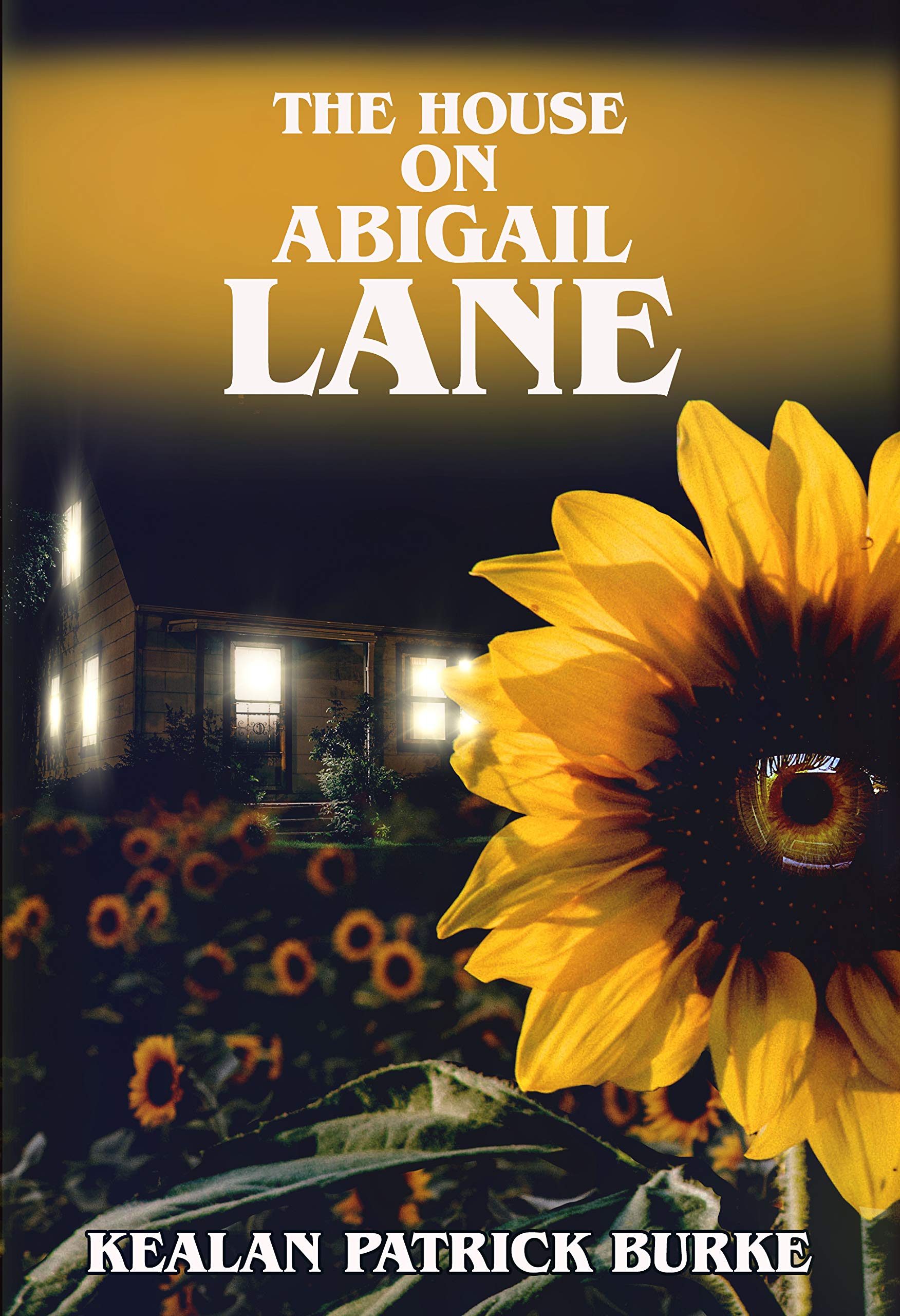 The House on Abigail Lane book cover