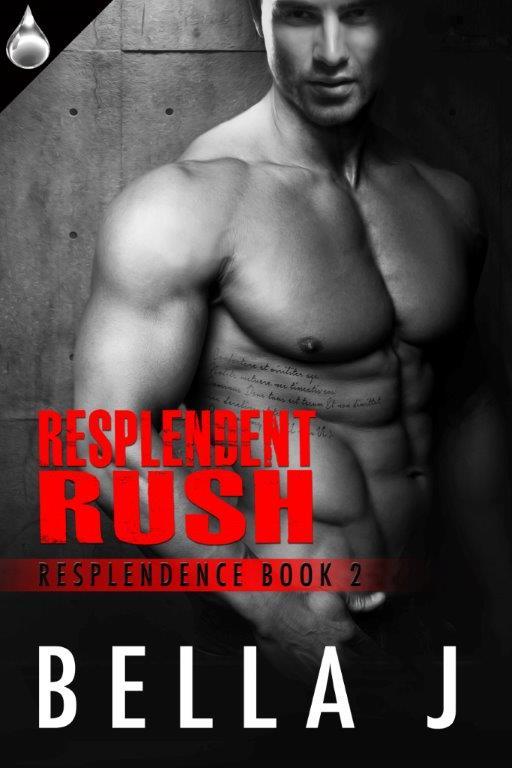 Resplendence book cover 2
