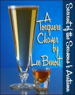 Servant of the Seasons book cover 1