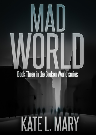 Broken World book cover 3