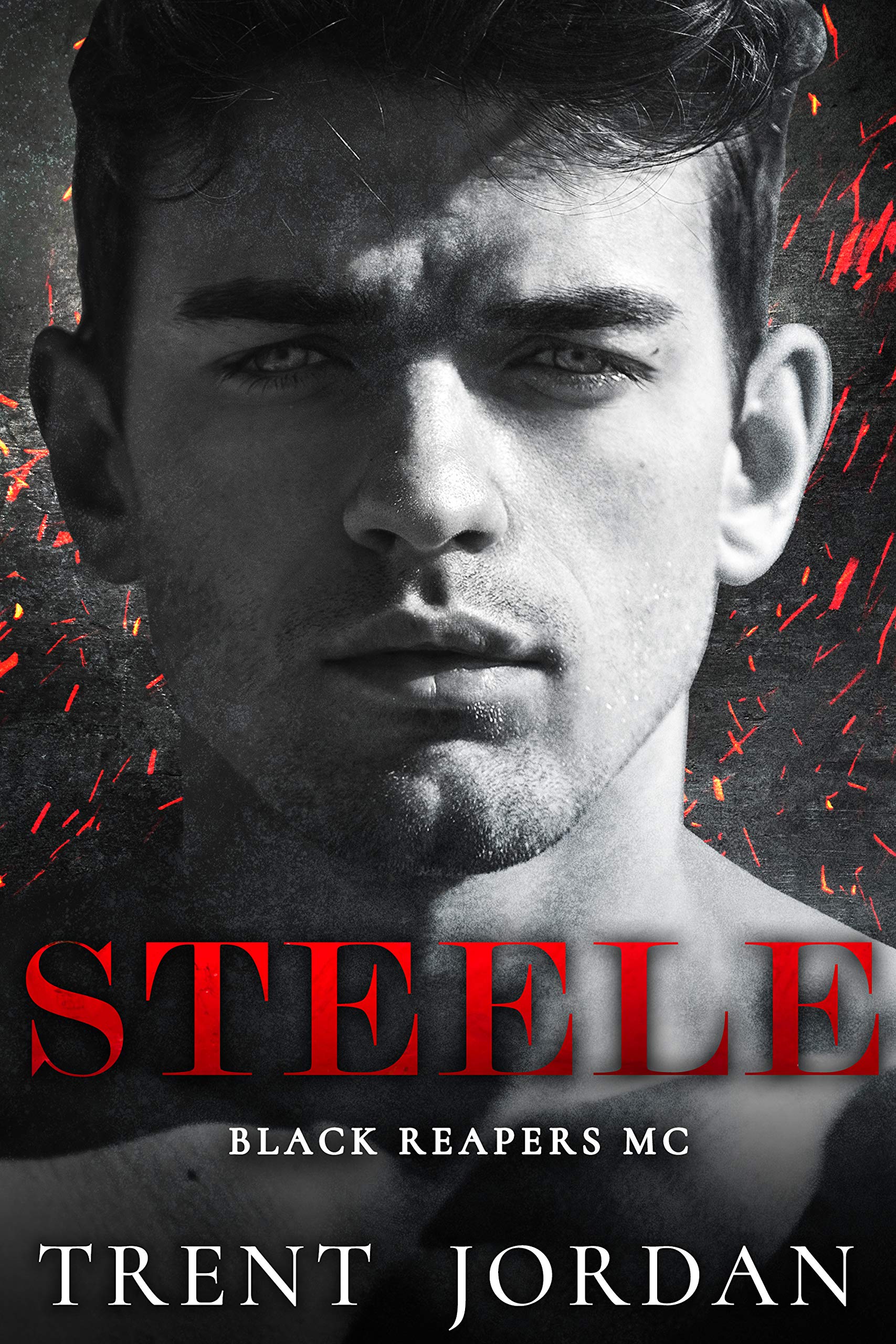Steele's Sorrow book cover