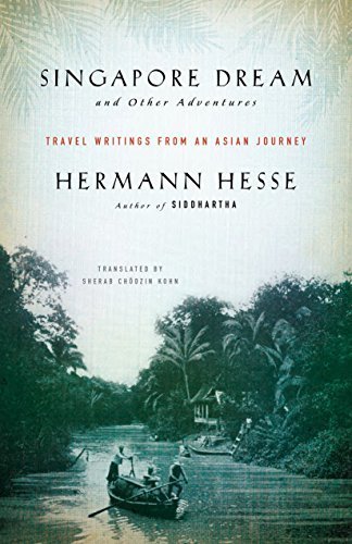 Singapore Dream and Other Adventures book cover