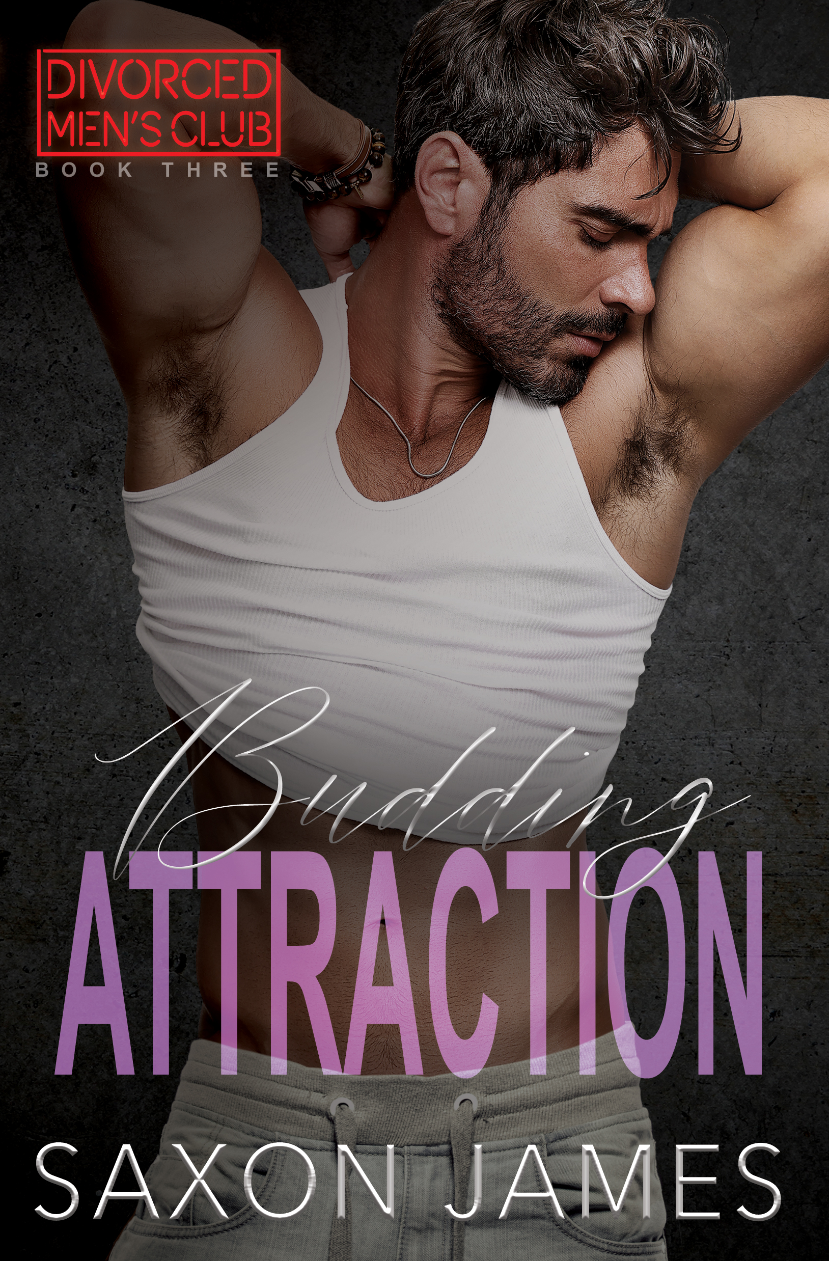Divorced Men's Club book cover 3