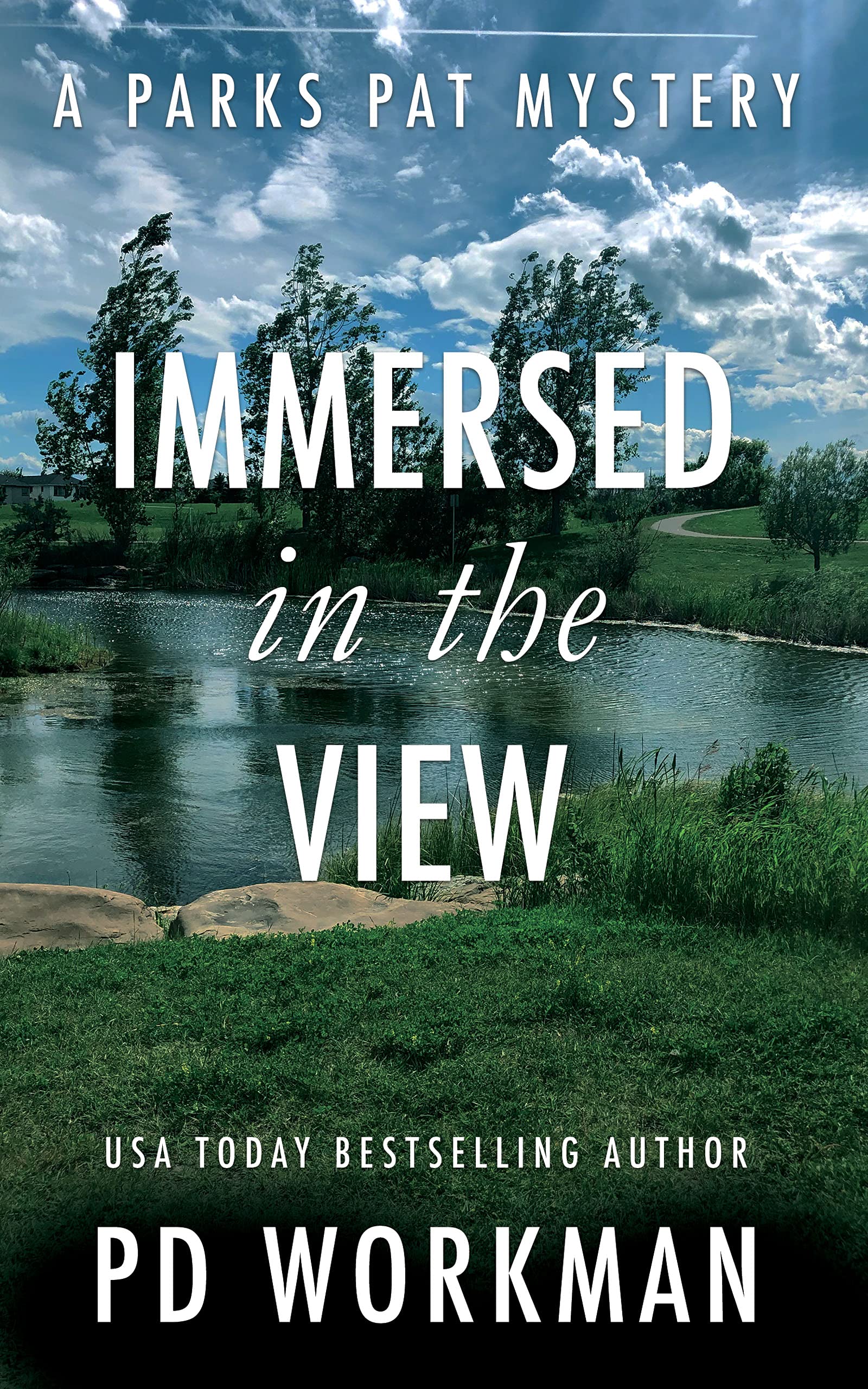 Immersed in the View book cover