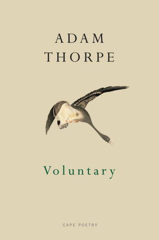 Voluntary book cover
