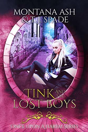Tink And The Lost Boys book cover