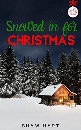 Snowed in for Christmas book cover